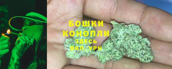 гидра Армянск
