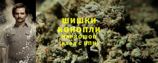 гидра Армянск